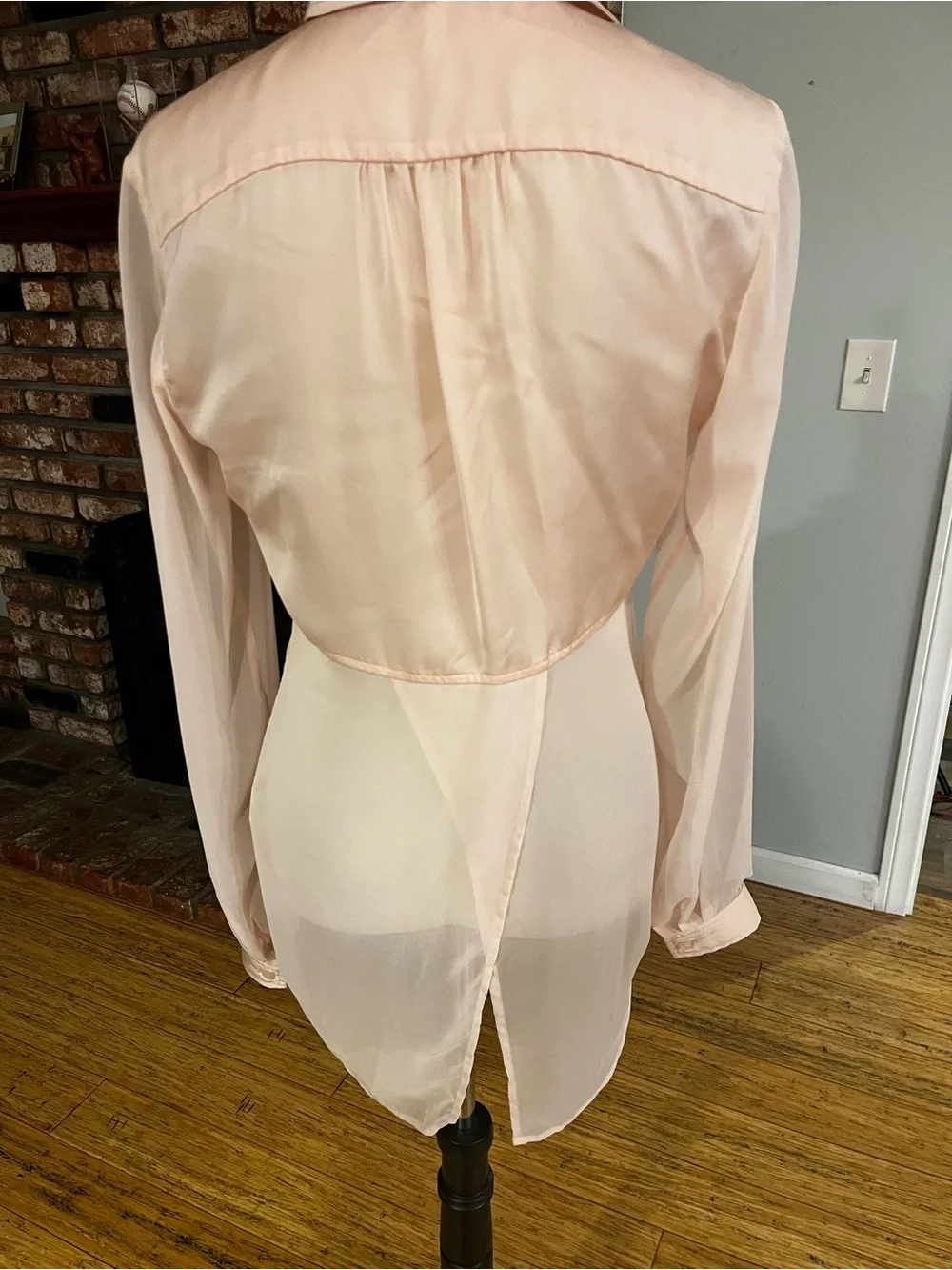 Free People Pink Sheer Button-Down Blouse